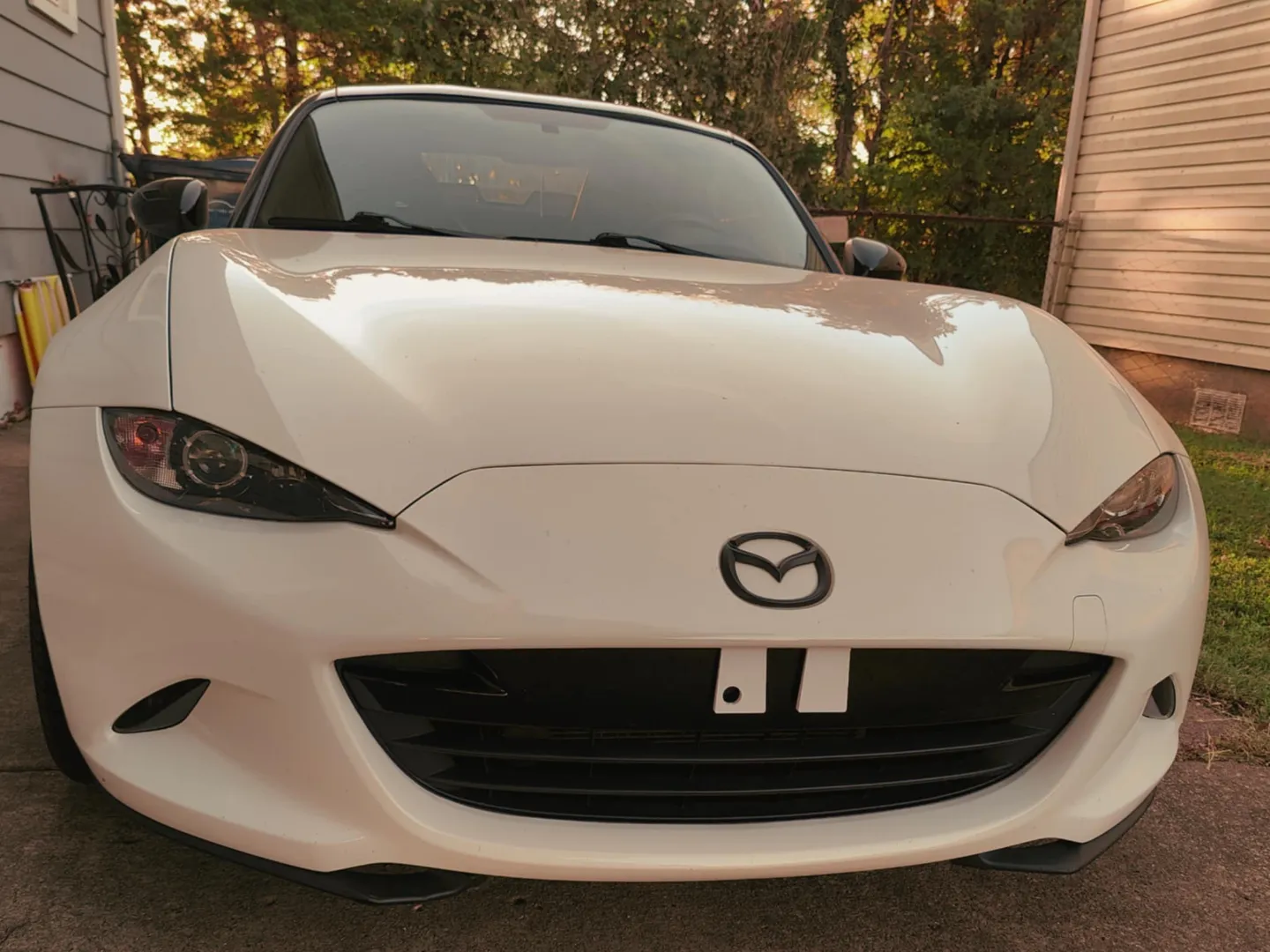 Car Buck Teeth
